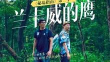88影视
